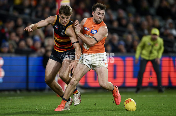 AFL 2024 Round 16 - Adelaide v GWS - A-51469316