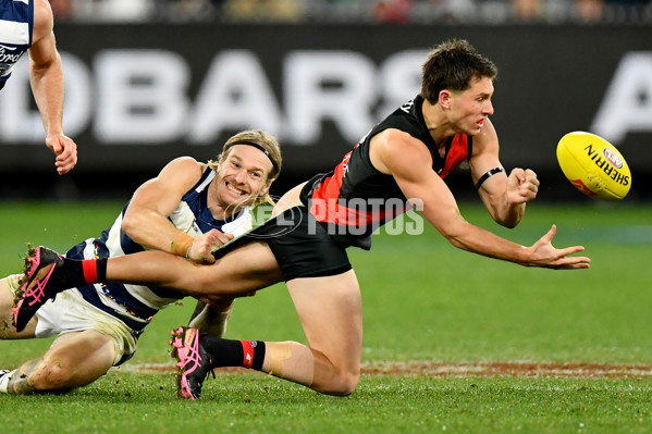 AFL 2024 Round 16 - Geelong v Essendon - A-51469324