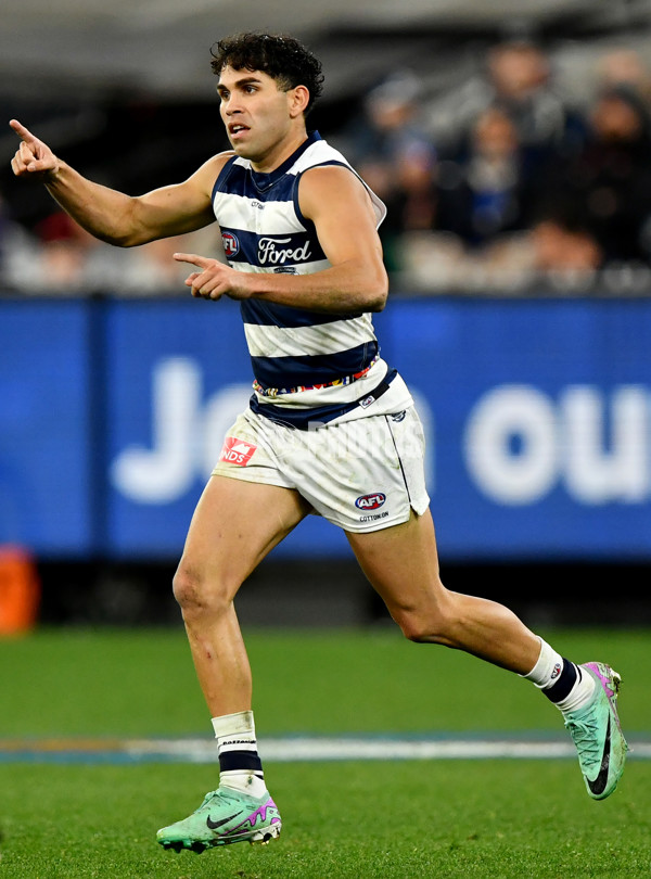 AFL 2024 Round 16 - Geelong v Essendon - A-51469327