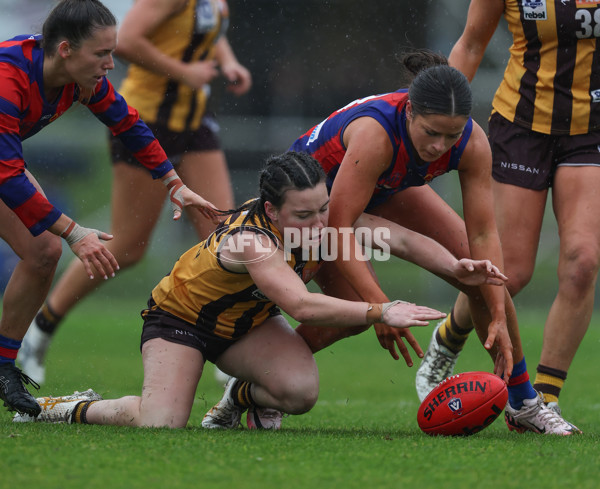 VFLW 2024 First Elimination Final - Box Hill v Port Melbourne - A-51469500