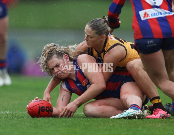 VFLW 2024 First Elimination Final - Box Hill v Port Melbourne - A-51469505