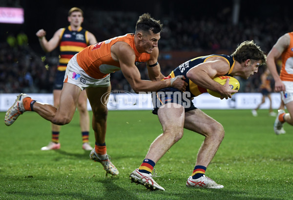 AFL 2024 Round 16 - Adelaide v GWS - A-51469512