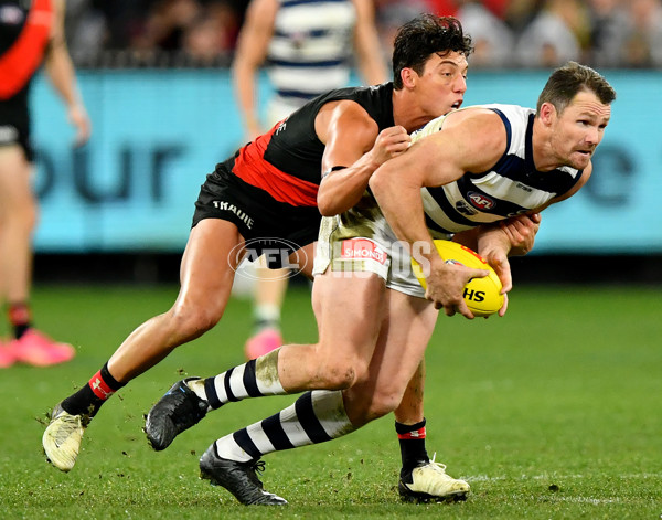 AFL 2024 Round 16 - Geelong v Essendon - A-51469518
