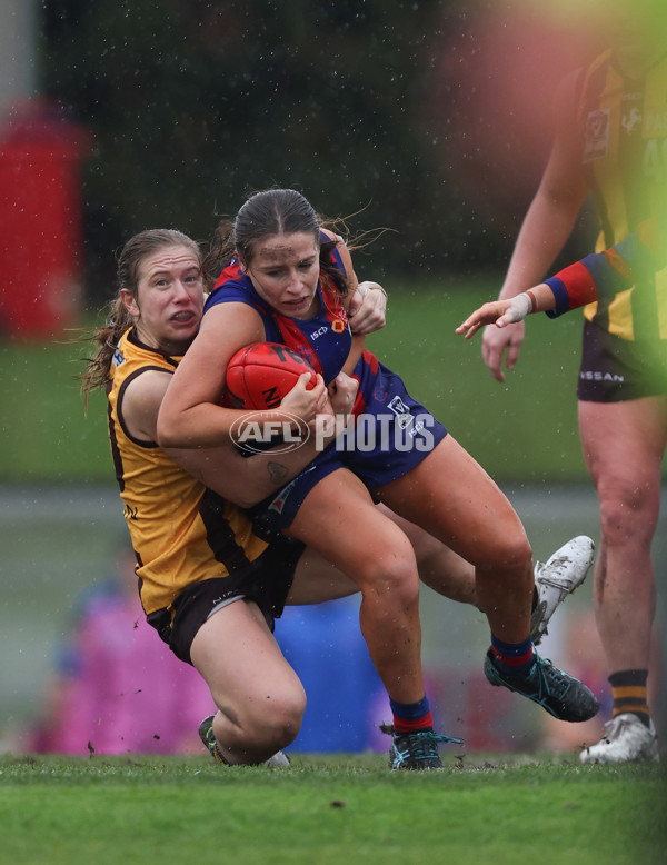 VFLW 2024 First Elimination Final - Box Hill v Port Melbourne - A-51469526