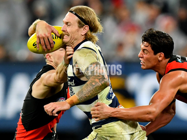 AFL 2024 Round 16 - Geelong v Essendon - A-51469539