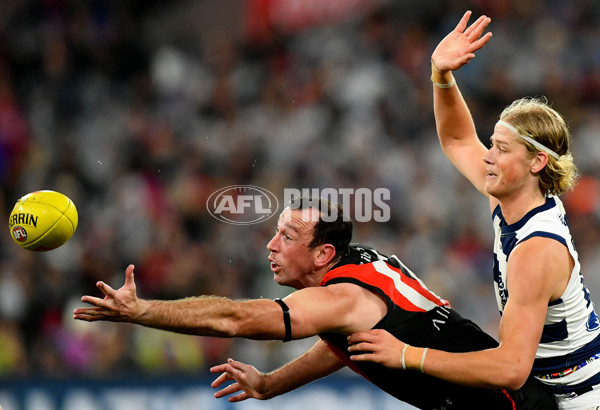 AFL 2024 Round 16 - Geelong v Essendon - A-51469542