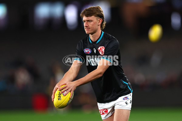 AFL 2024 Round 16 - St Kilda v Port Adelaide - A-51472284