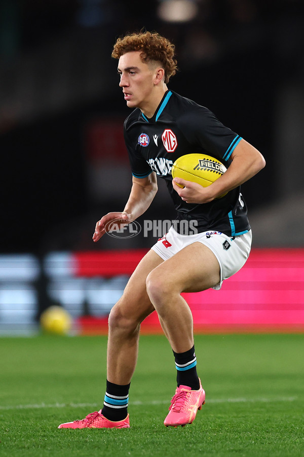 AFL 2024 Round 16 - St Kilda v Port Adelaide - A-51472294