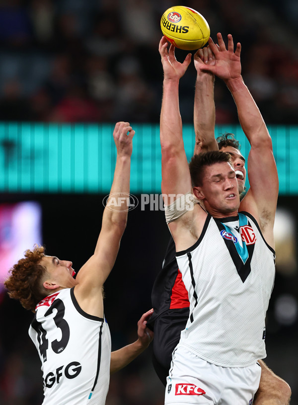 AFL 2024 Round 16 - St Kilda v Port Adelaide - A-51474895