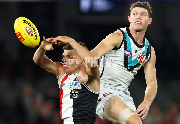 AFL 2024 Round 16 - St Kilda v Port Adelaide - A-51477408