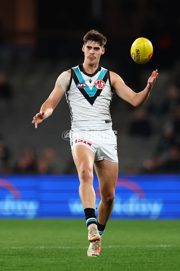 AFL 2024 Round 16 - St Kilda v Port Adelaide - A-51477440