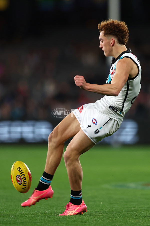 AFL 2024 Round 16 - St Kilda v Port Adelaide - A-51477441