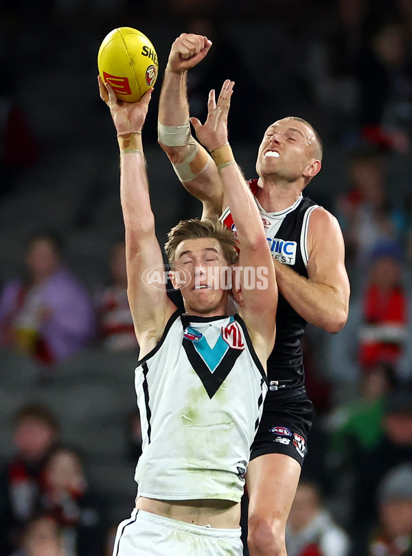 AFL 2024 Round 16 - St Kilda v Port Adelaide - A-51478130