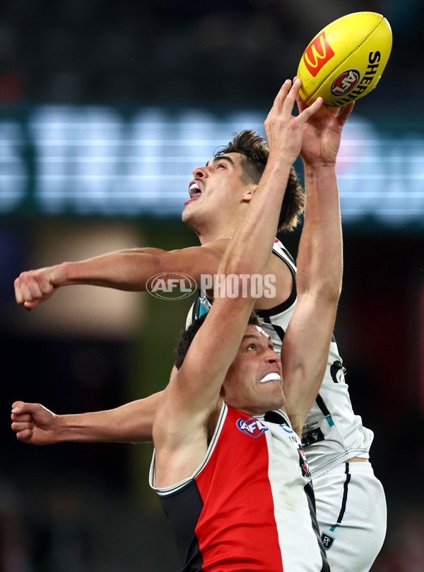 AFL 2024 Round 16 - St Kilda v Port Adelaide - A-51478132