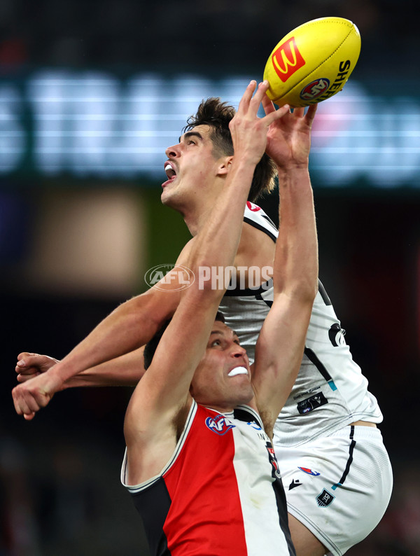 AFL 2024 Round 16 - St Kilda v Port Adelaide - A-51478133