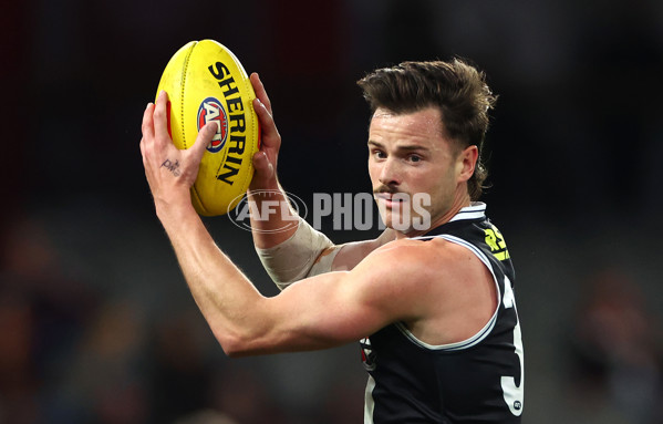 AFL 2024 Round 16 - St Kilda v Port Adelaide - A-51478145