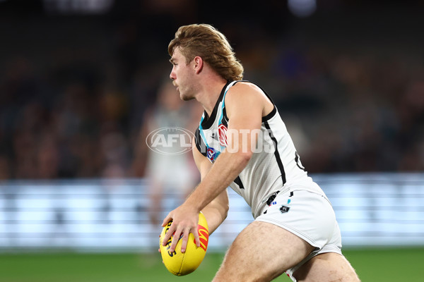 AFL 2024 Round 16 - St Kilda v Port Adelaide - A-51478151