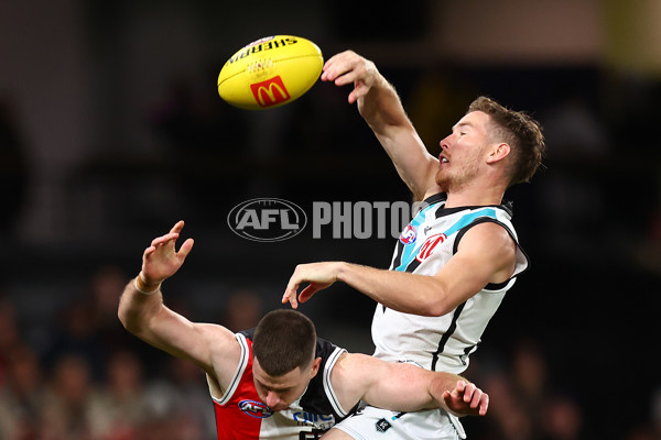 AFL 2024 Round 16 - St Kilda v Port Adelaide - A-51478157