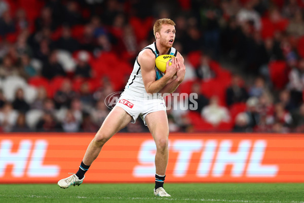 AFL 2024 Round 16 - St Kilda v Port Adelaide - A-51479814