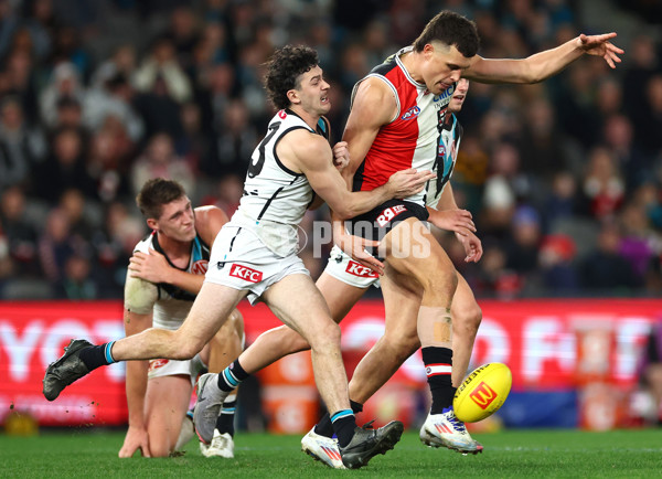 AFL 2024 Round 16 - St Kilda v Port Adelaide - A-51479834