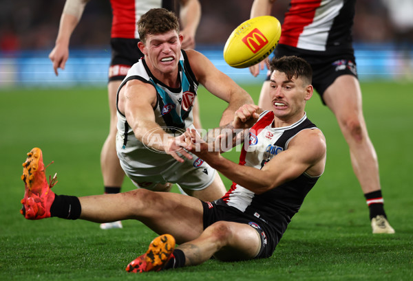 AFL 2024 Round 16 - St Kilda v Port Adelaide - A-51479848