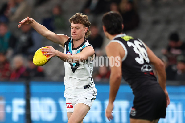 AFL 2024 Round 16 - St Kilda v Port Adelaide - A-51479850