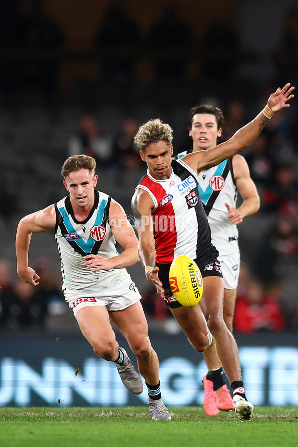 AFL 2024 Round 16 - St Kilda v Port Adelaide - A-51479854