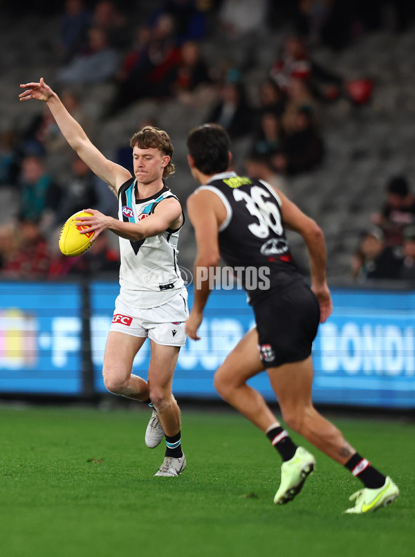 AFL 2024 Round 16 - St Kilda v Port Adelaide - A-51479857