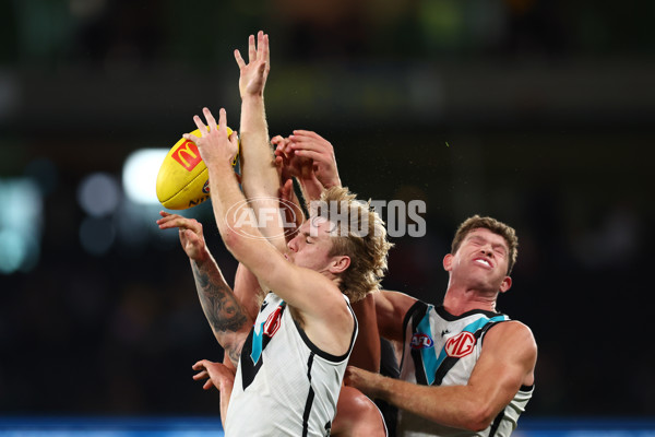 AFL 2024 Round 16 - St Kilda v Port Adelaide - A-51479858