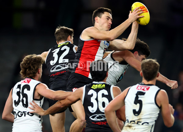 AFL 2024 Round 16 - St Kilda v Port Adelaide - A-51481133