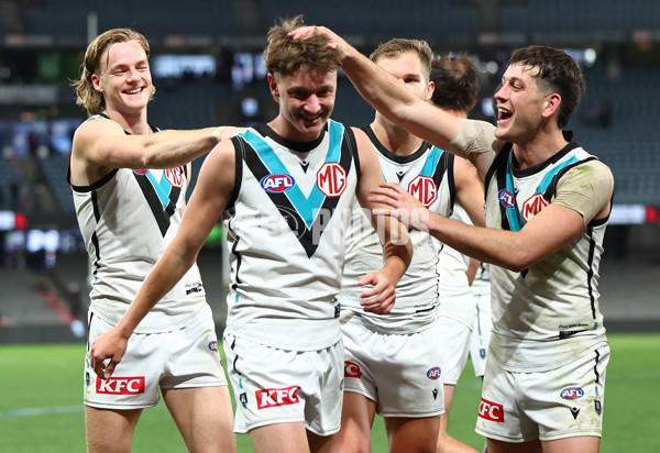 AFL 2024 Round 16 - St Kilda v Port Adelaide - A-51481190