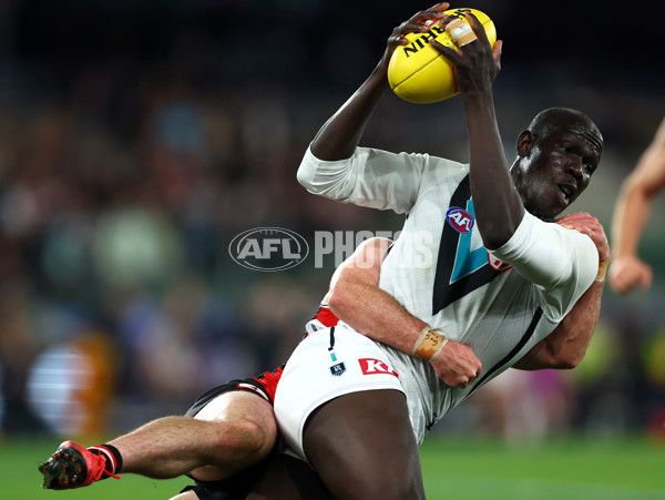 AFL 2024 Round 16 - St Kilda v Port Adelaide - A-51482748