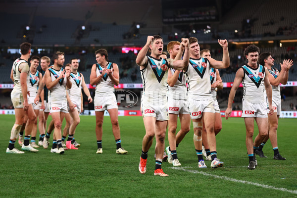AFL 2024 Round 16 - St Kilda v Port Adelaide - A-51482786