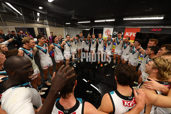 AFL 2024 Round 16 - St Kilda v Port Adelaide - A-51482787