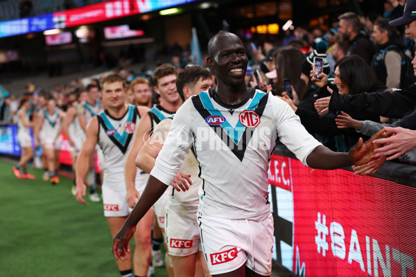 AFL 2024 Round 16 - St Kilda v Port Adelaide - A-51482788