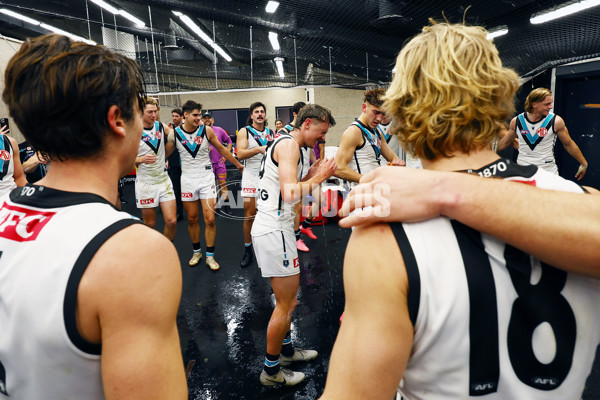 AFL 2024 Round 16 - St Kilda v Port Adelaide - A-51482803