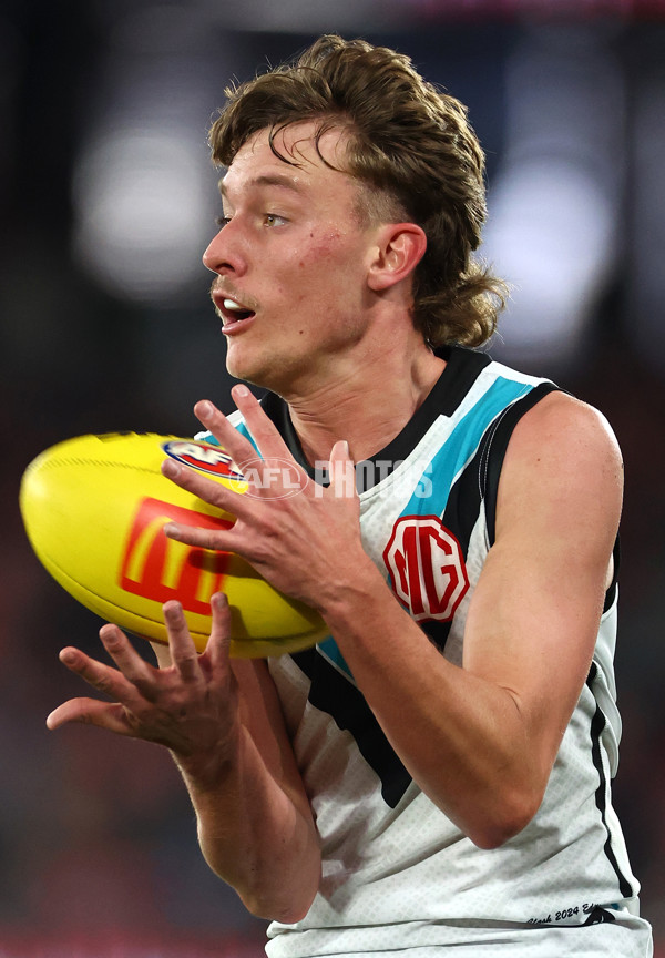 AFL 2024 Round 16 - St Kilda v Port Adelaide - A-51483708