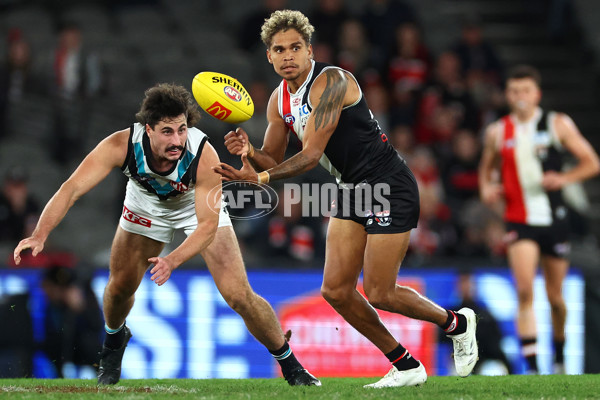 AFL 2024 Round 16 - St Kilda v Port Adelaide - A-51485364
