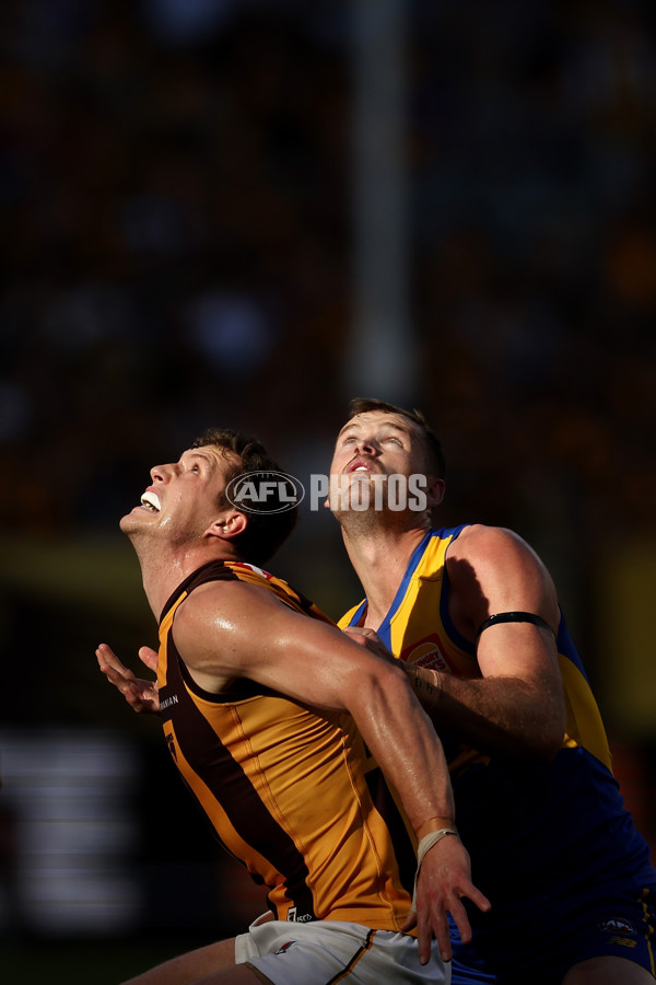 AFL 2024 Round 16 - West Coast v Hawthorn - A-51489676