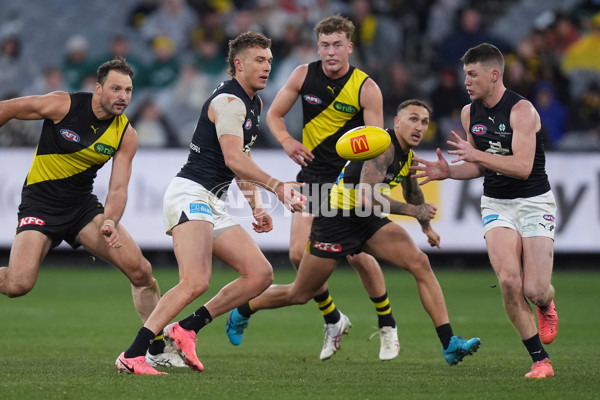 AFL 2024 Round 16 - Richmond v Carlton - A-51490235