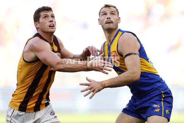 AFL 2024 Round 16 - West Coast v Hawthorn - A-51490269