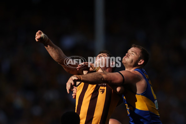 AFL 2024 Round 16 - West Coast v Hawthorn - A-51490272