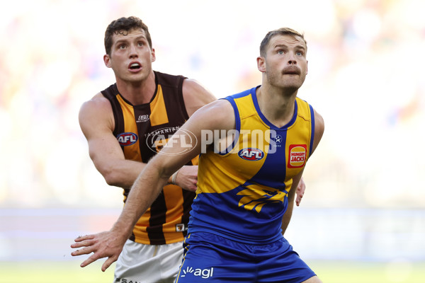 AFL 2024 Round 16 - West Coast v Hawthorn - A-51490273