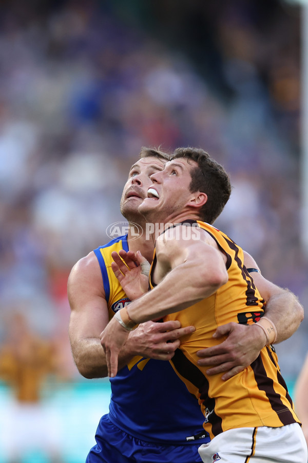 AFL 2024 Round 16 - West Coast v Hawthorn - A-51490285