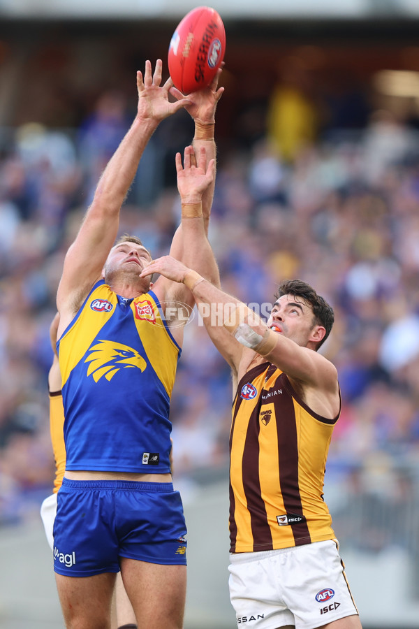 AFL 2024 Round 16 - West Coast v Hawthorn - A-51492567