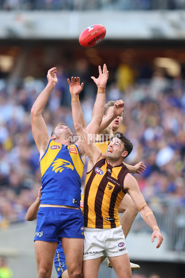 AFL 2024 Round 16 - West Coast v Hawthorn - A-51492569