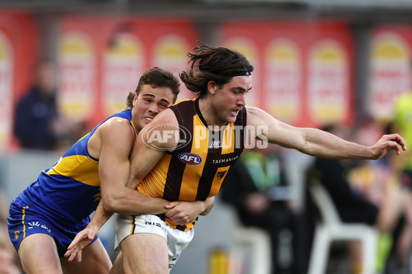 AFL 2024 Round 16 - West Coast v Hawthorn - A-51492578