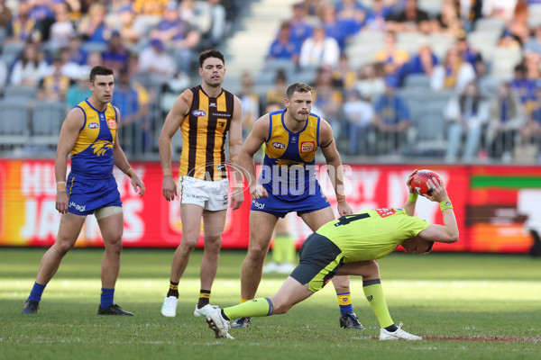 AFL 2024 Round 16 - West Coast v Hawthorn - A-51492600