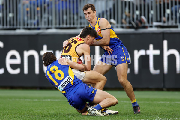 AFL 2024 Round 16 - West Coast v Hawthorn - A-51492656