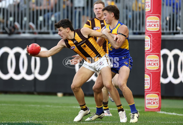 AFL 2024 Round 16 - West Coast v Hawthorn - A-51492659